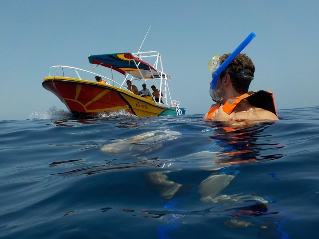  Godersi lo snorkeling a Holbox 